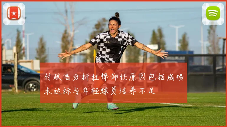付政浩分析杜锋卸任原因包括成绩未达标与年轻球员培养不足